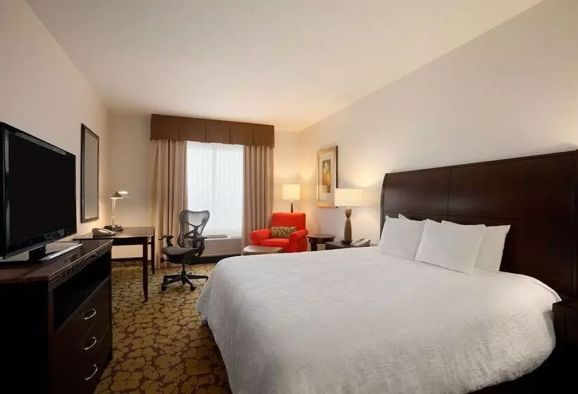 デラックススイート, Hilton Garden Inn Edmonton International Airport