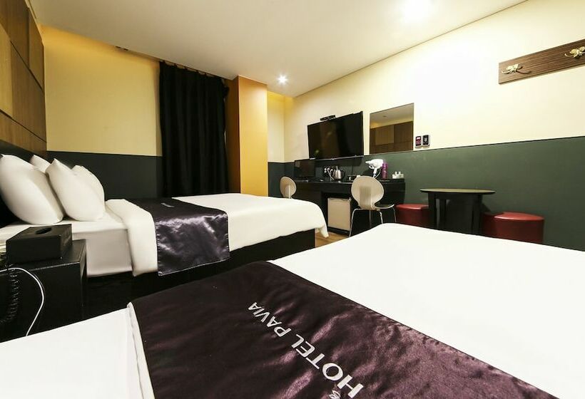 Quarto Estandar, Pavia