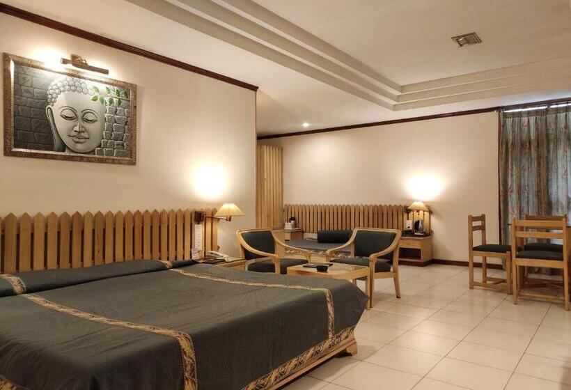 غرفة ديلوكس, Shingar Regency