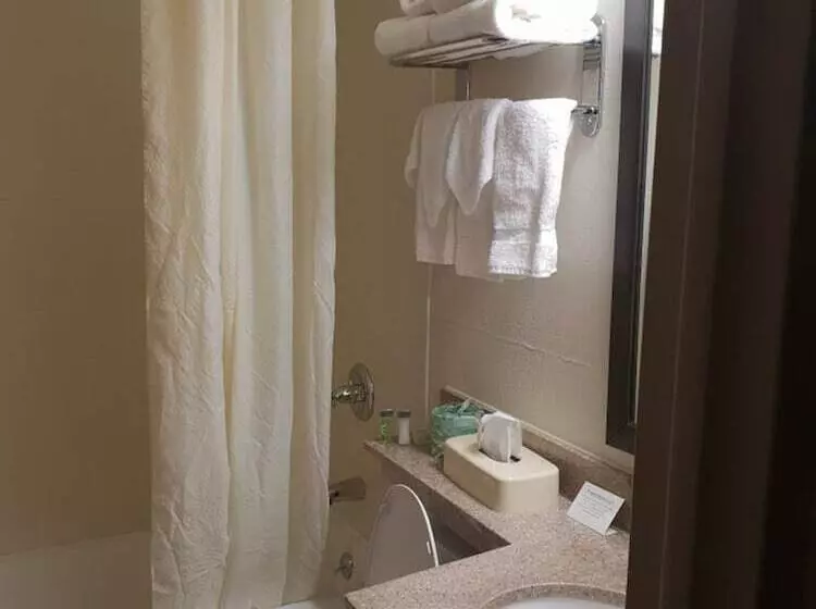 ２ダブルベッドのスタンダードルーム, Sleep Inn Jfk Airport Rockaway Blvd