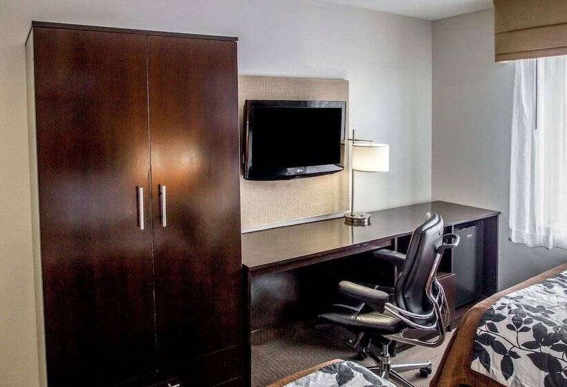 חדר סטנדרט שתי מיטות זוגיות, Sleep Inn Jfk Airport Rockaway Blvd