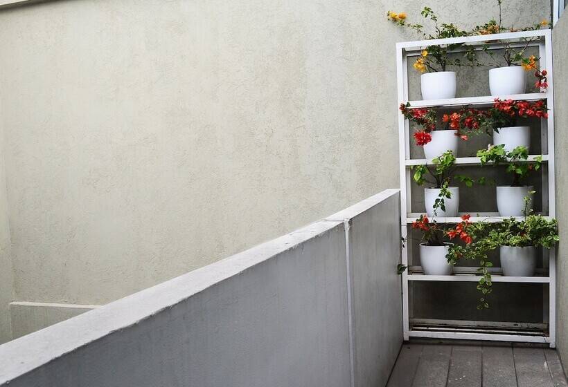 דירה בת חדר שינה 1 עם מרפסת, Living 55