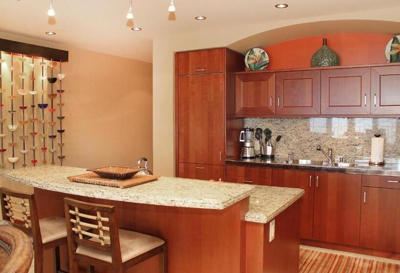 １ベッドルームペントハウスアパート, Wailea Beach Villas