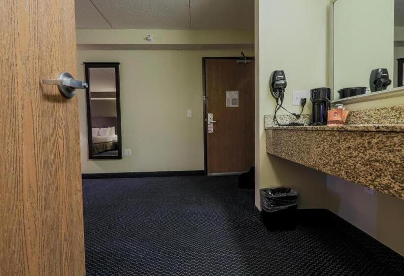 带大床的豪华间, Americinn By Wyndham Lincoln South