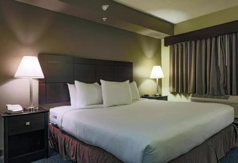 身障者適用キングサイズベッドルーム, Americinn By Wyndham Lincoln South