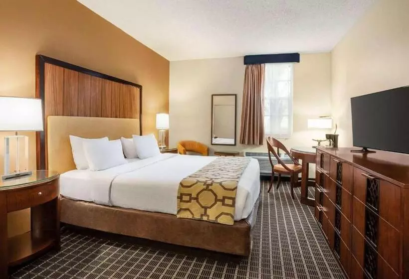 Standardzimmer Kingsize Bett, Belmont Inn & Suites
