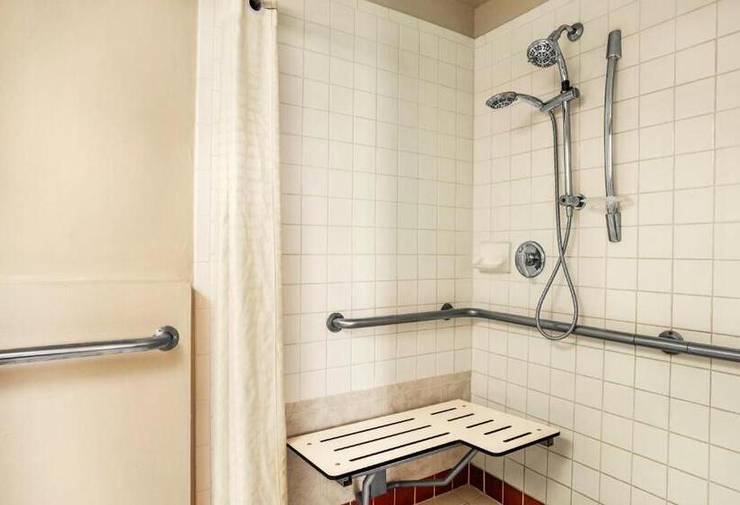 장애인을 위한 킹사이즈 침대 스탠다드 룸, Belmont Inn & Suites