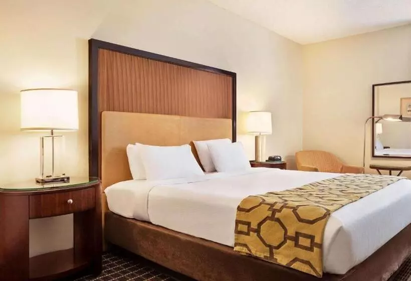 Standardzimmer King-Size Bett (behindertengerecht), Belmont Inn & Suites