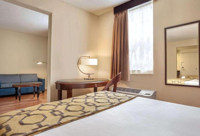 סטודיו דלוקס, Belmont Inn & Suites