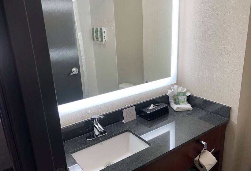 اتاق استاندارد با تخت بزرگ برای معلولان, Best Western Lexington Inn