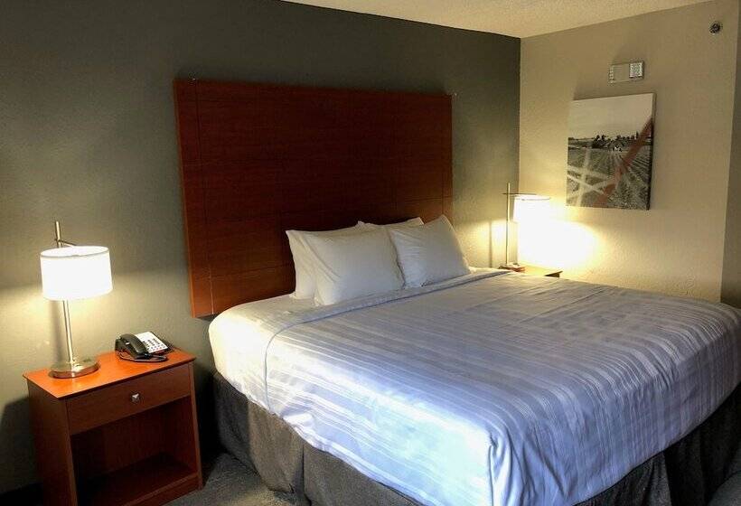 اتاق استاندارد با تخت بزرگ برای معلولان, Best Western Lexington Inn