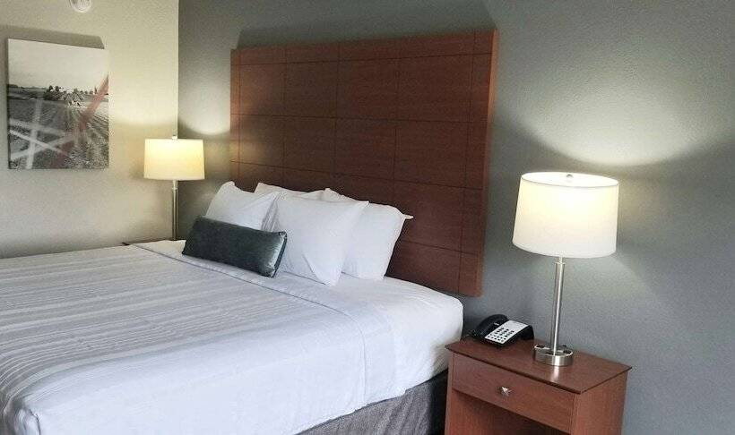 اتاق استاندارد با تخت بزرگ برای معلولان, Best Western Lexington Inn