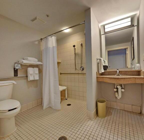 غرفة قياسية سرير كينج لذوى الإحتياجات الخاصة, Courtyard Boston Raynham