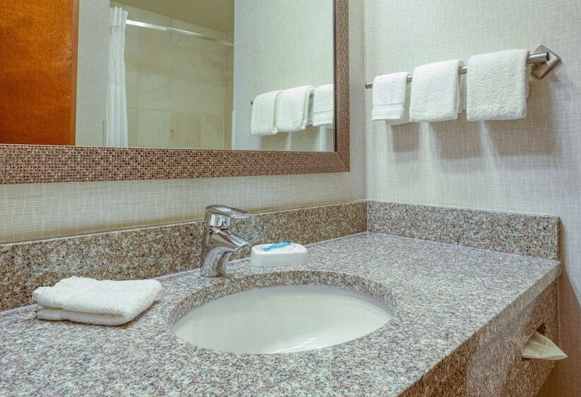 חדר דלוקס, Drury Inn & Suites Indianapolis Northeast