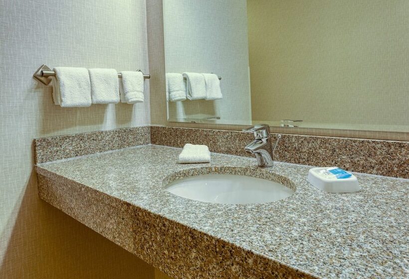 חדר דלוקס מותאם לאנשים עם מוגבלויות, Drury Inn & Suites Indianapolis Northeast