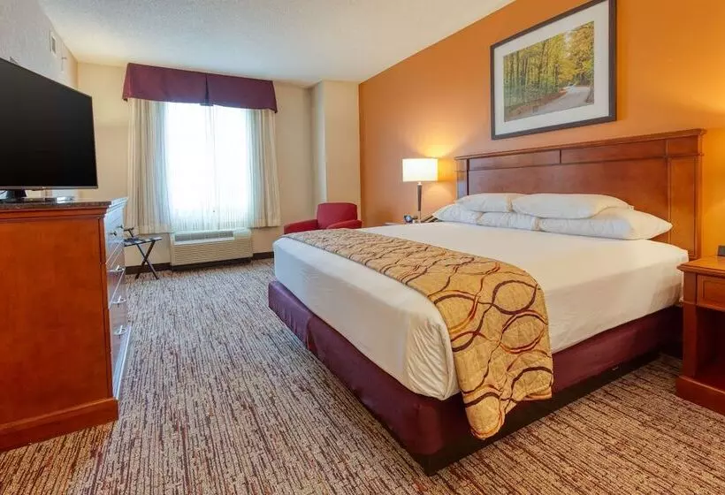 اتاق دلوکس مخصوص معلولین, Drury Inn & Suites Indianapolis Northeast