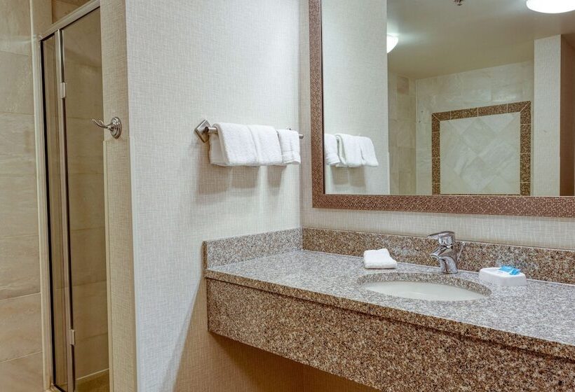豪华房间, Drury Inn & Suites Indianapolis Northeast