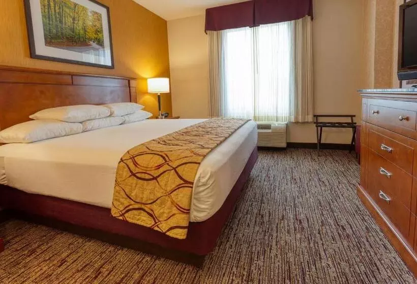 سوئیت با تخت بزرگ, Drury Inn & Suites Indianapolis Northeast
