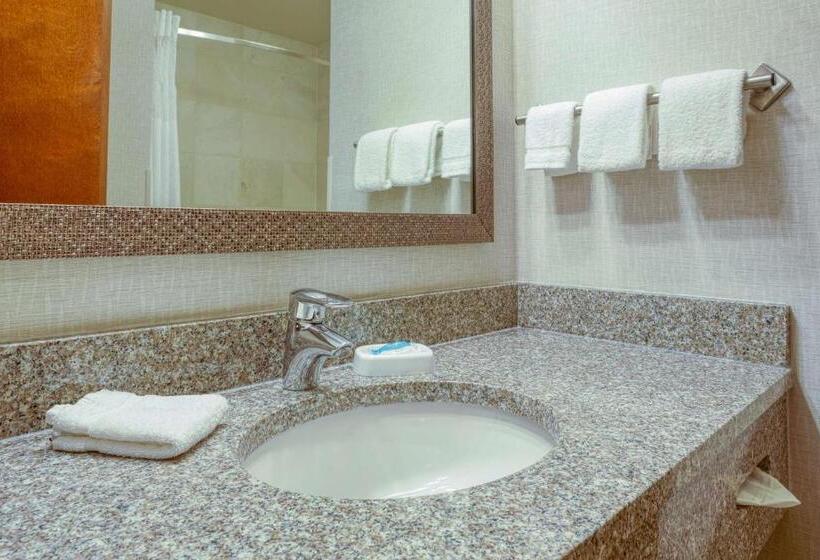 חדר סופריור עם מיטת קינג, Drury Inn & Suites Indianapolis Northeast