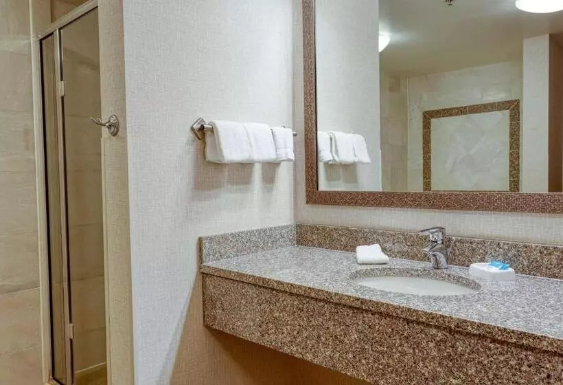 اتاق سوپریور با تخت بزرگ, Drury Inn & Suites Indianapolis Northeast