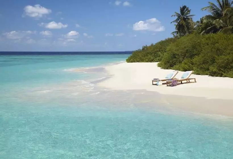 ویلای یک اتاق خوابه با استخر شنا, Dusit Thani Maldives
