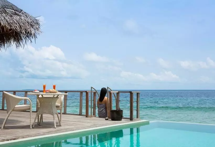 ویلای یک اتاق خوابه با استخر شنا, Dusit Thani Maldives