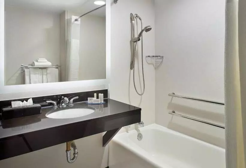 キングサイズベッドのスタンダードルーム, Fairfield By Marriott Inn & Suites Asheville Outlets
