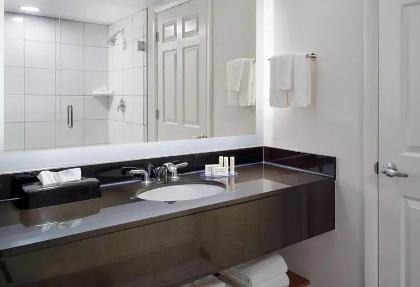 キングサイズベッドのスタンダードルーム, Fairfield By Marriott Inn & Suites Asheville Outlets