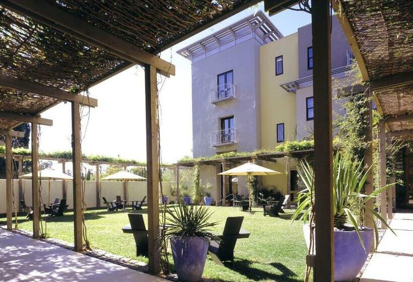 اتاق استاندارد با تخت بزرگ, Healdsburg