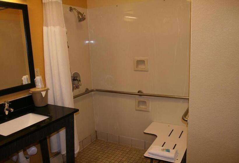 غرفة قياسية فردية لذوى الإحتياجات الخاصة, Okatie Hilton Head