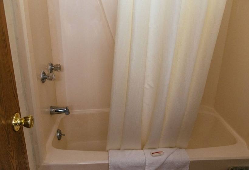 带2个双人床的标准工作室, Red Carpet Inn Pulaski