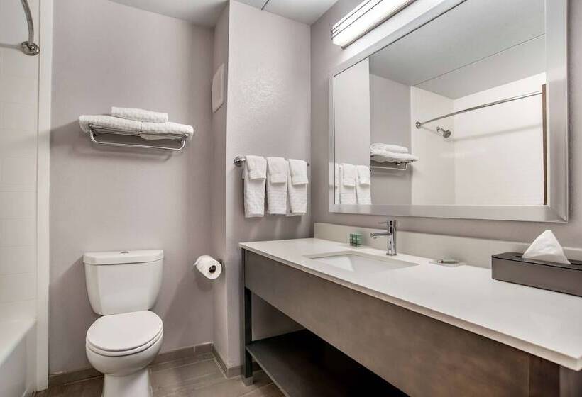 Люкс, Best Western Brewton Inn