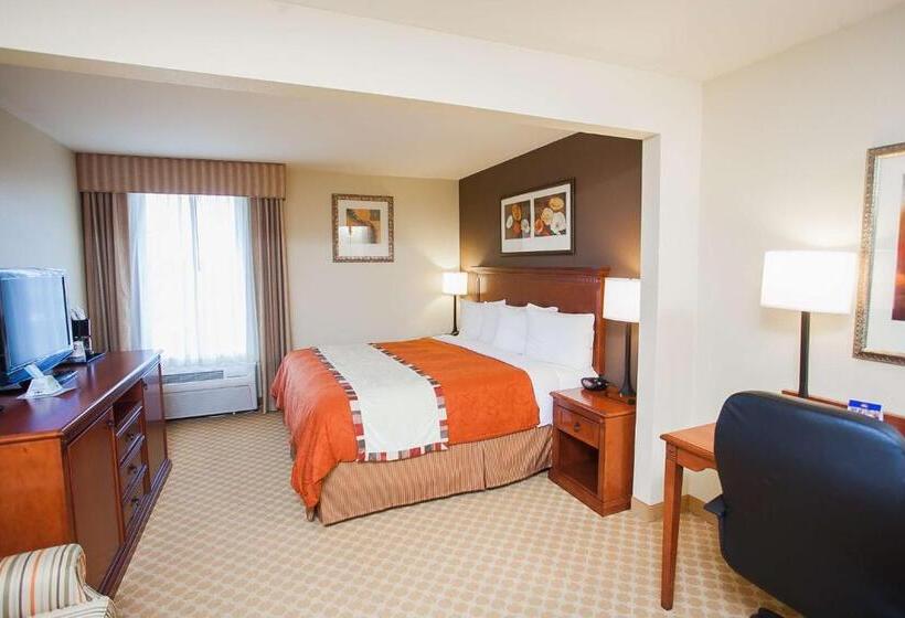 غرفة قياسية سرير كينج, Best Western Plus Georgetown Inn & Suites