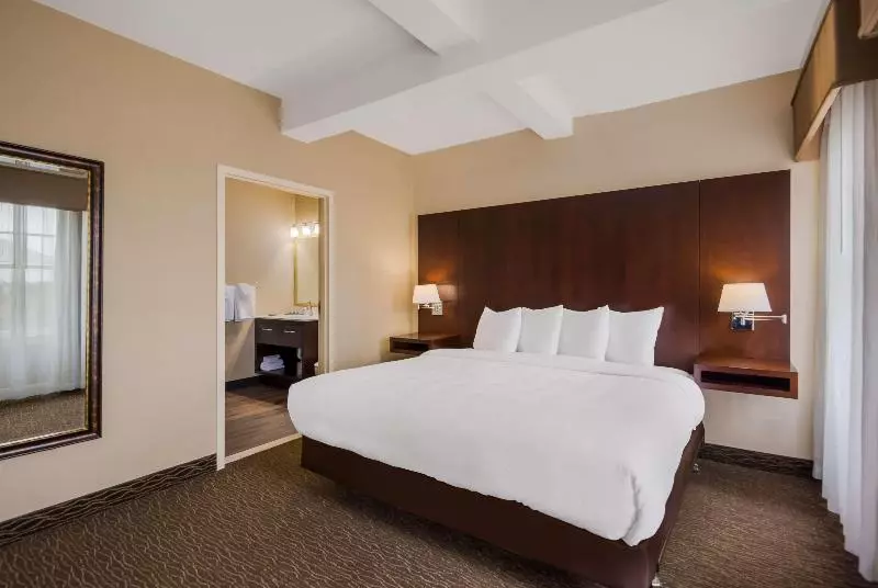 سوئیت با تخت بزرگ, Best Western Syracuse Downtown Hotel And Suites