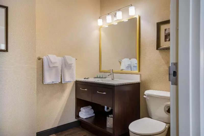 سوئیت با تخت بزرگ, Best Western Syracuse Downtown Hotel And Suites