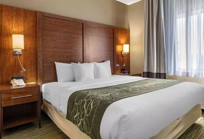 スイート, Comfort Suites North