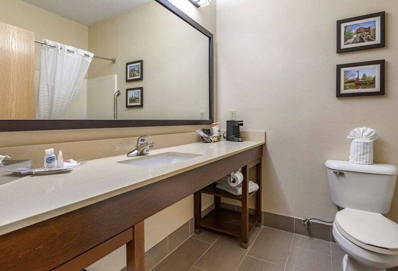 套房, Comfort Suites North