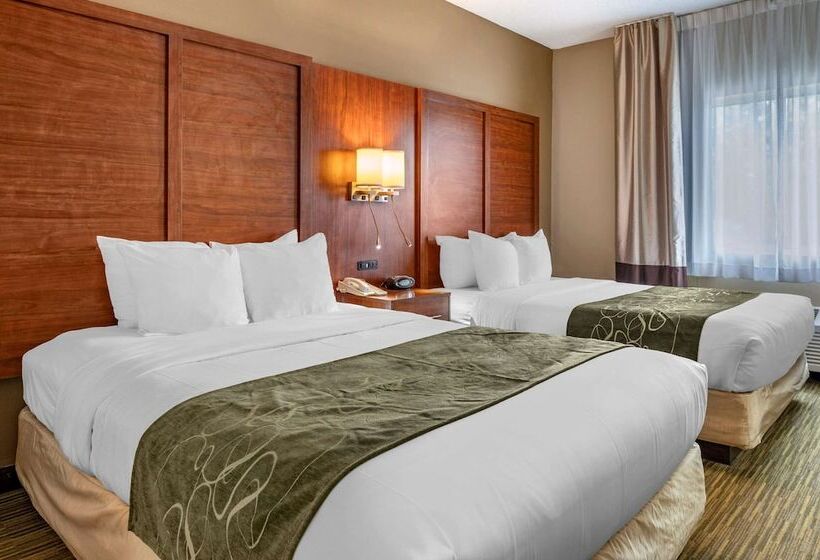 套房, Comfort Suites North