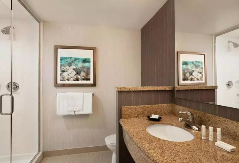 スタンダードルーム, Courtyard By Marriott Middletown Goshen