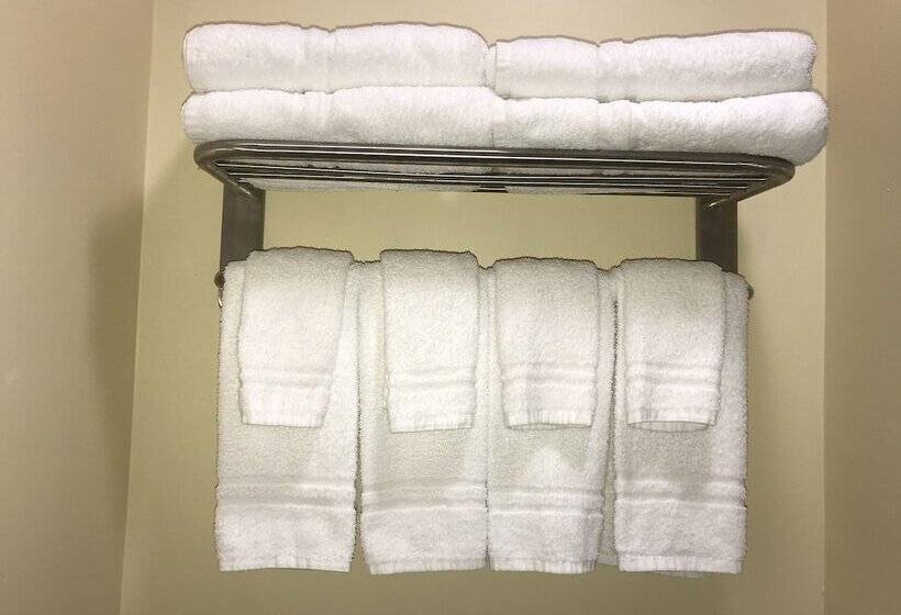 غرفة ديلوكس, Executive Inn