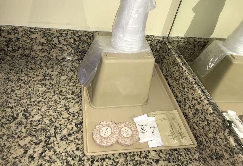 غرفة ديلوكس, Executive Inn