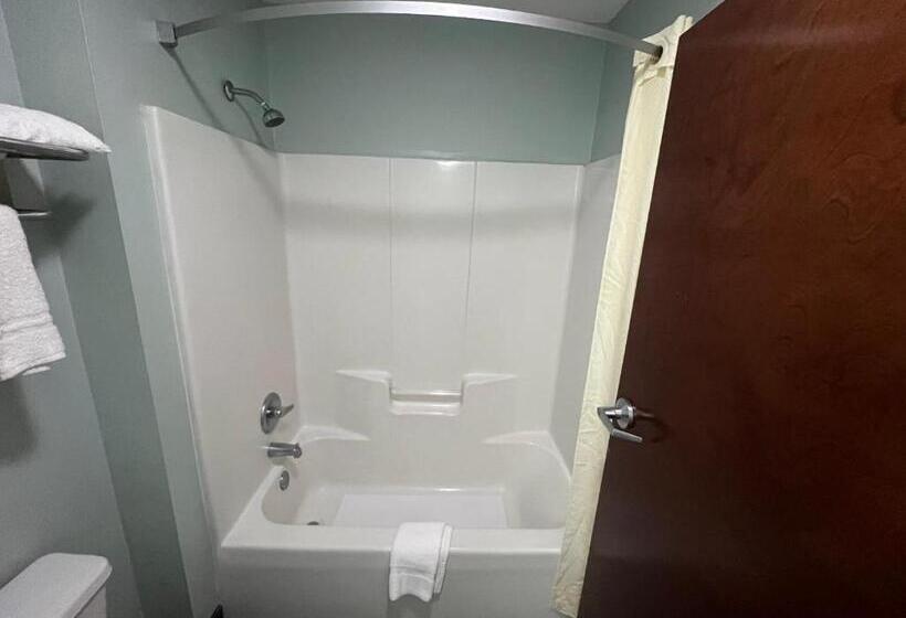 غرفة قياسية سرير كينج, Executive Inn