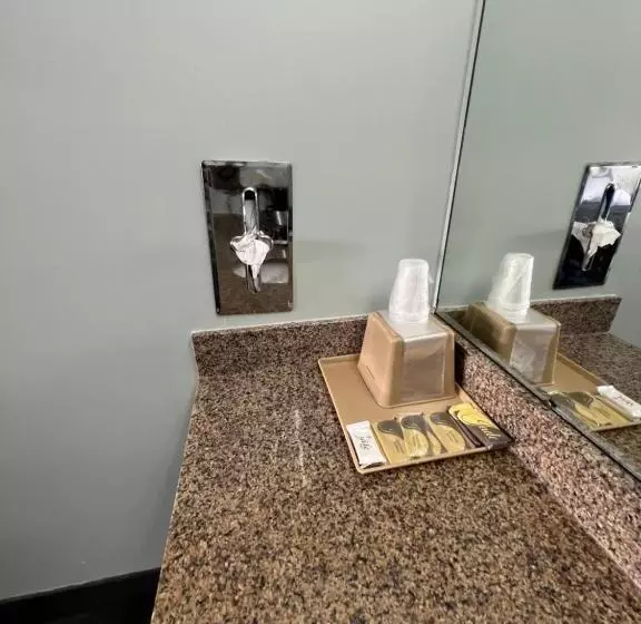 身障者適用キングサイズベッドルーム, Executive Inn