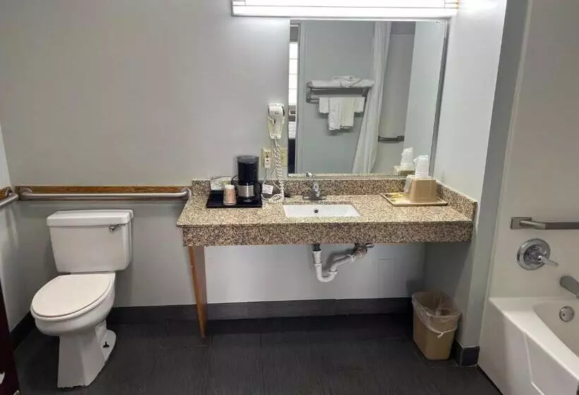 身障者適用キングサイズベッドルーム, Executive Inn