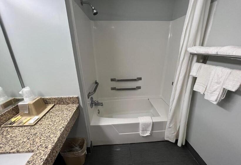 غرفة قياسية سرير كينج لذوى الإحتياجات الخاصة, Executive Inn