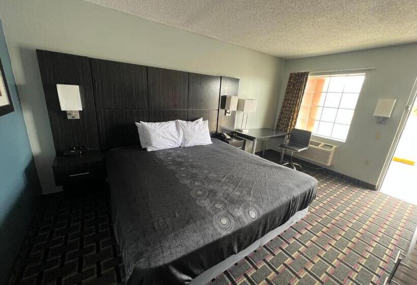 장애인을 위한 킹사이즈 침대 스탠다드 룸, Executive Inn