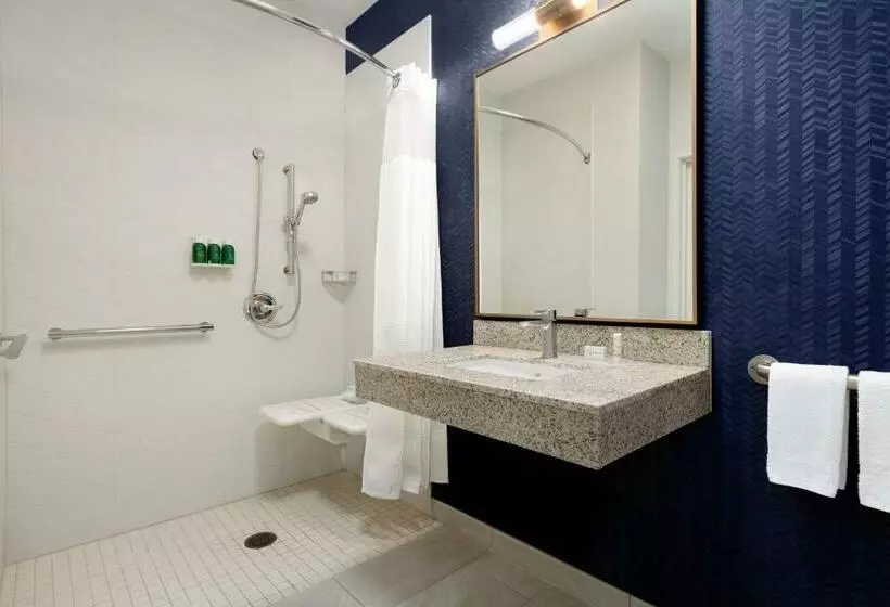 اتاق استاندارد با تخت بزرگ, Fairfield Inn By Marriott Visalia Sequoia