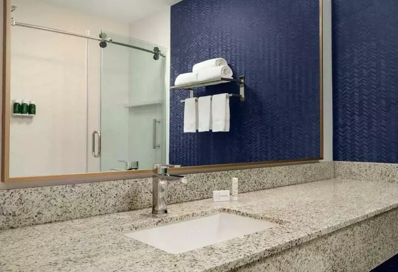 اتاق استاندارد با تخت بزرگ, Fairfield Inn By Marriott Visalia Sequoia