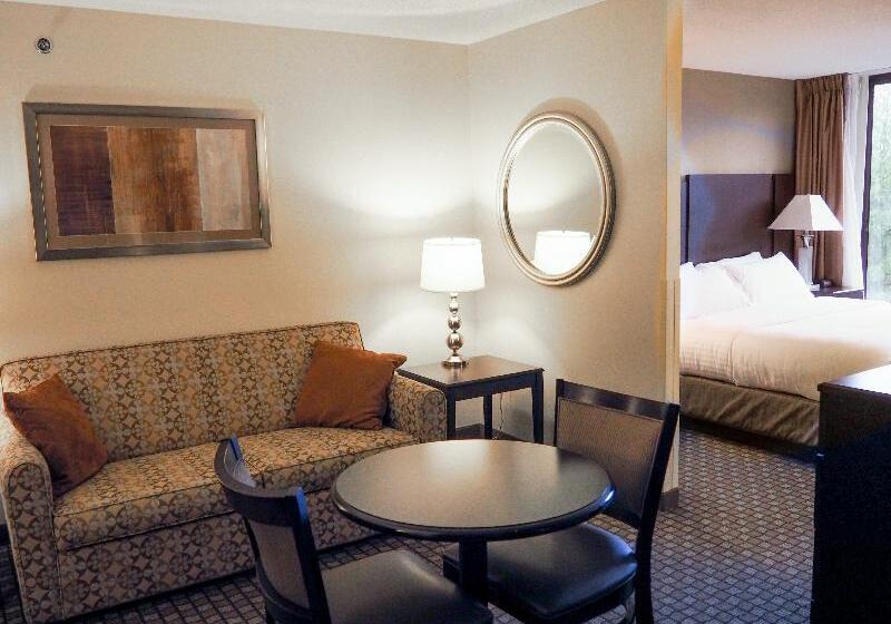 جناح سرير كينج, Holiday Inn Express Blacksburg, An Ihg