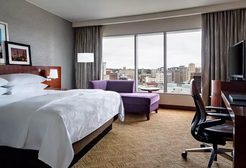 シティビューのダブルベッドスタンダードルーム, Jw Marriott Grand Rapids